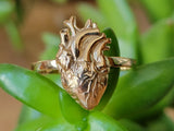 Anatomical Heart Ring