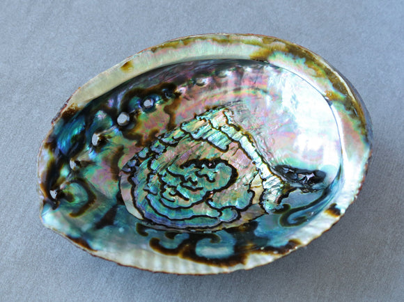 Abalone Shell Smudge Bowl