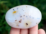 Dendritic Agate Palm Stone