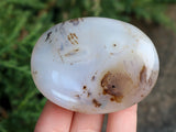 Dendritic Agate Palm Stone