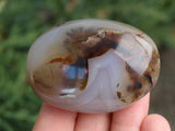 Dendritic Agate Palm Stone