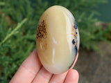 Dendritic Agate Palm Stone