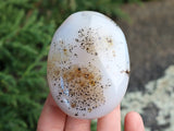 Dendritic Agate Palm Stone