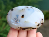 Dendritic Agate Palm Stone