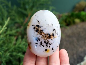 Dendritic Agate Palm Stone