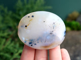 Dendritic Agate Palm Stone