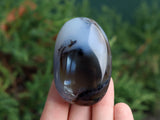 Dendritic Agate Palm Stone