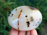 Dendritic Agate Palm Stone