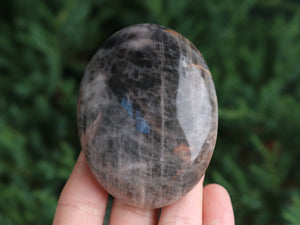 Larvikite "Black Moonstone" Palm Stone