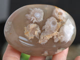 Plume Agate Palm Stone