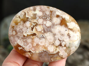 Plume Agate Palm Stone