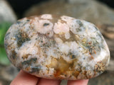 Plume Agate Palm Stone