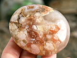 Plume Agate Palm Stone