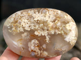 Plume Agate Palm Stone