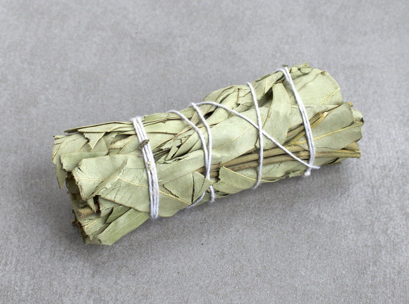 Eucalyptus Smudge Stick