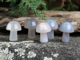 Mini Gray Agate Mushroom