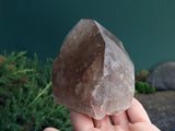 Top Polished Smoky Quartz Point