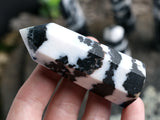 Zebra Jasper Point